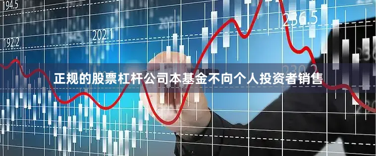 正规的股票杠杆公司本基金不向个人投资者销售