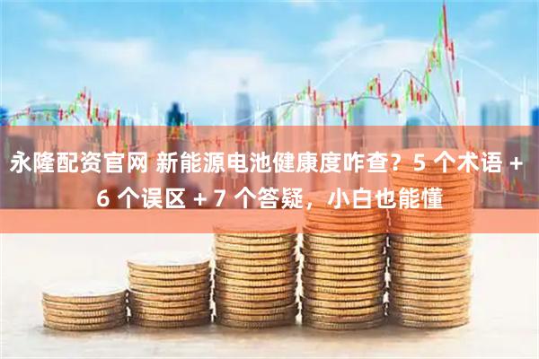 永隆配资官网 新能源电池健康度咋查？5 个术语 + 6 个误区 + 7 个答疑，小白也能懂