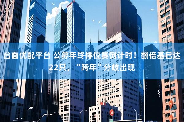 台面优配平台 公募年终排位赛倒计时!翻倍基已达22只,“跨年”分歧出现