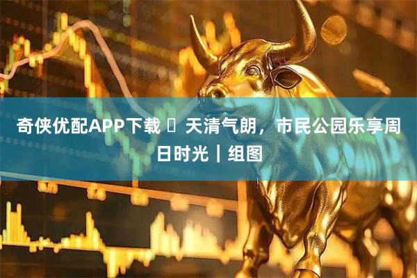 奇侠优配APP下载 ​天清气朗，市民公园乐享周日时光｜组图